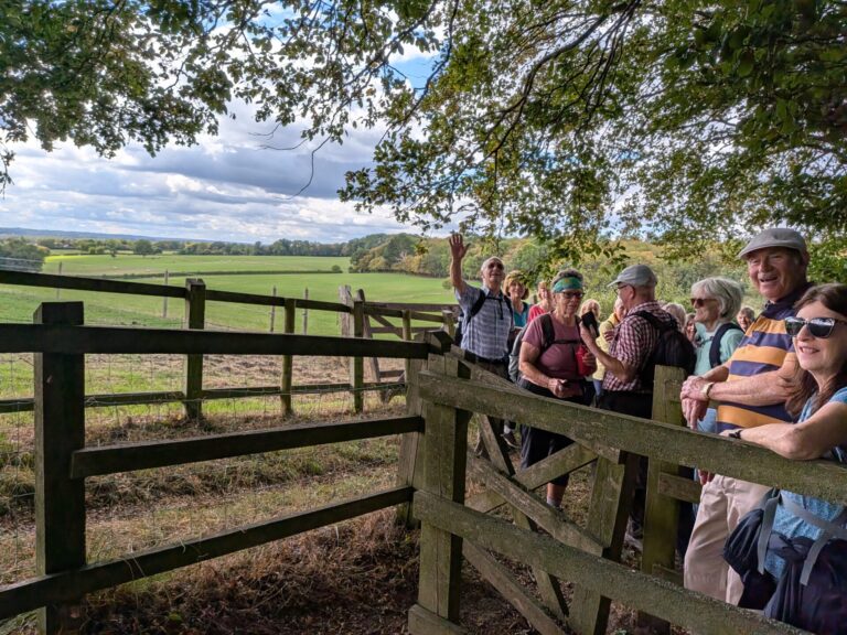7 Mile circular walk from Tewin, Herts